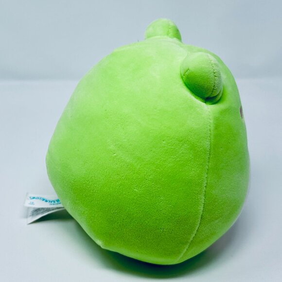 Squishmallow Wendy the Frog Plush - Picture 6 of 10